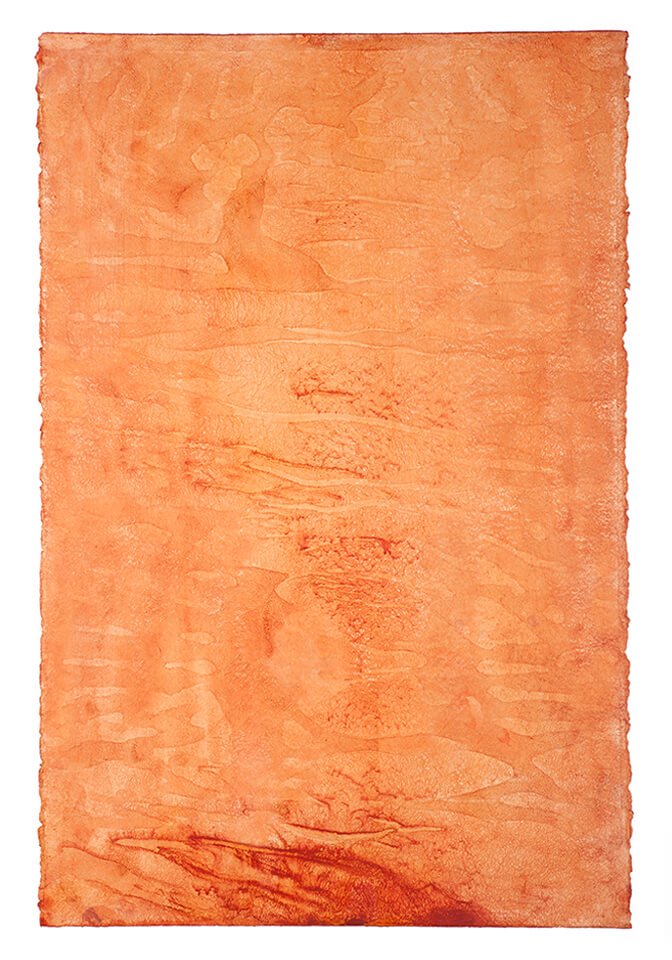ACHIOTE papel 08.jpg